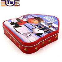 Irregular Tin